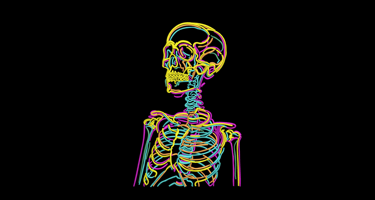 Machine Embroidery Designs.skeleton